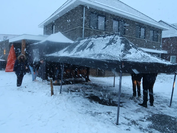 Aanbieden hofauto en receptie Stadsprins